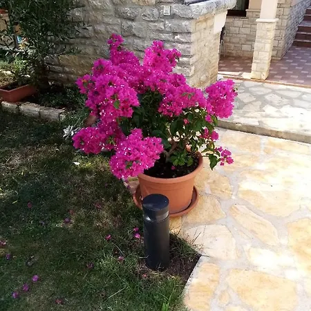 Sahic 3 Apartament